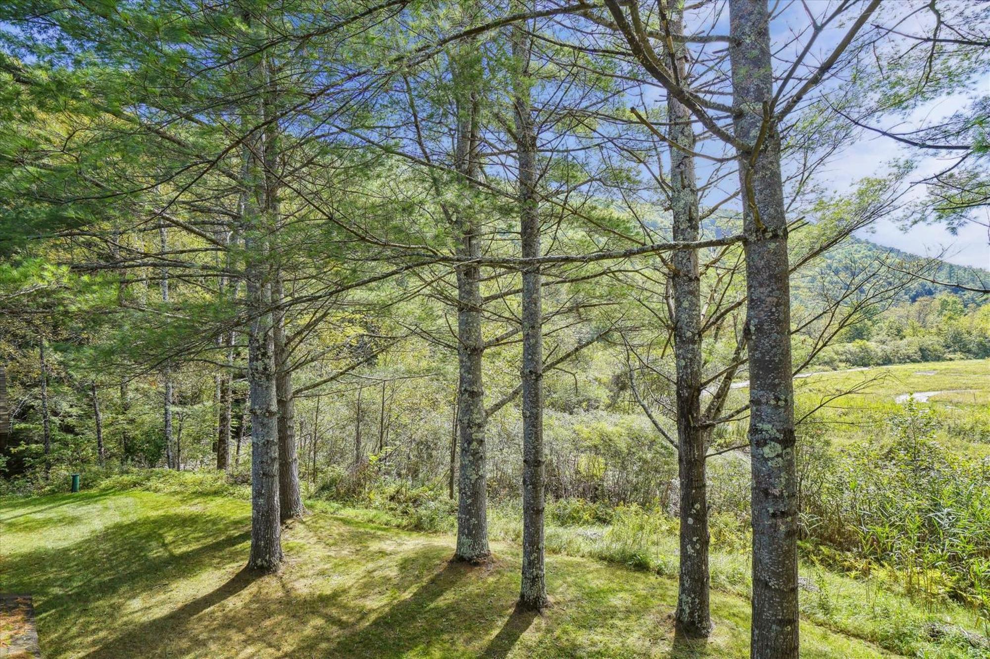 Cedarbrook Queen Suite 203 Killington Luaran gambar